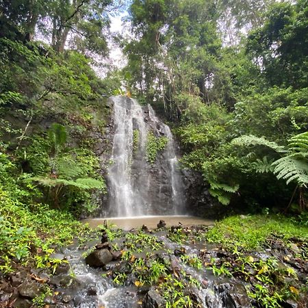 Nimbin Waterfall Retreat Eksteriør bilde