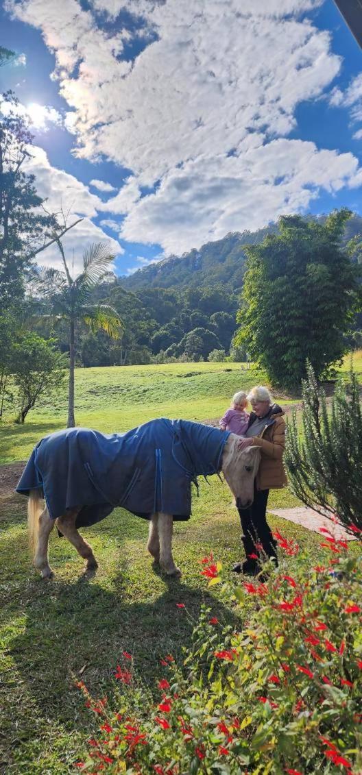 Nimbin Waterfall Retreat Eksteriør bilde